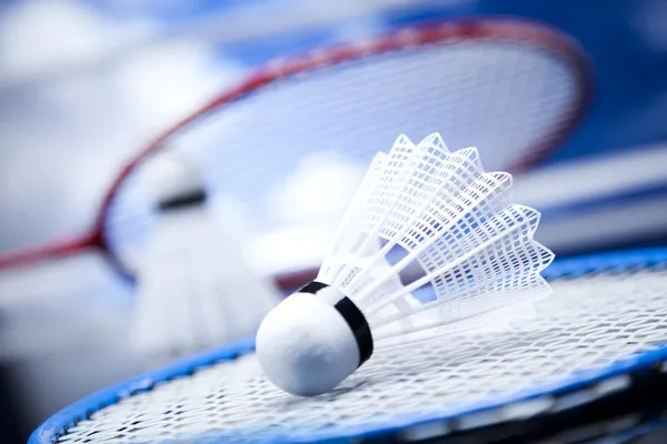 raket badminton untuk pemula